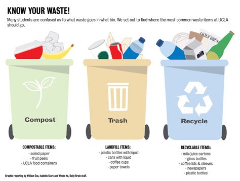 Waste Infographic. Sorting Garbage, Segregation and Recycling ...