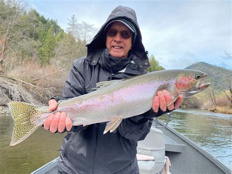 Trinity River Fish Report - Trinity River - Trinity steelhead fishing ...