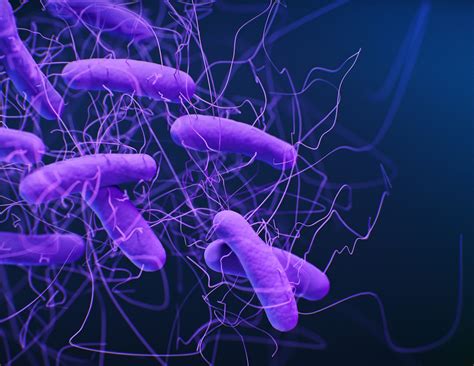 Clostridium DifficileClostridium Difficile News, Research Studies | C-Diff Treatent Articles
