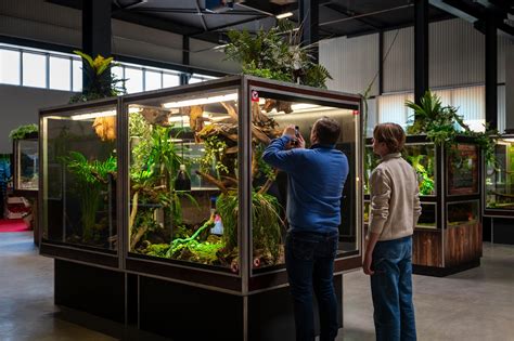 Expo à Villeneuve: démystifier les idées reçues sur les reptiles