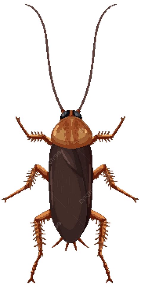 Image result for Cockroach Legs