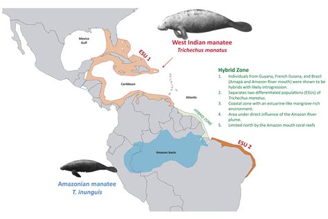 Manatees Habitat Map