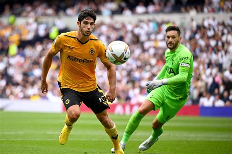 Image result for Wolves Goals and Reactions
