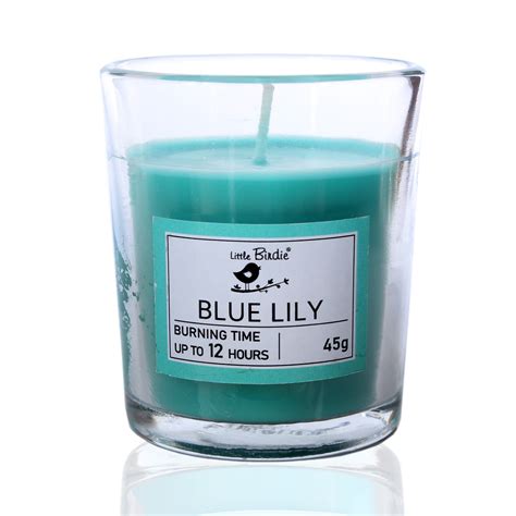 Scented Wax Glass Candle Blue Lily (10 To 12 Hr Burning Time) 45Grm 1P ...