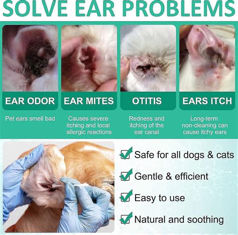 Ear Cleaner for Dogs, Dogs Ear Infection Treatment - Supports Soothing Dog Yeast Infection ...