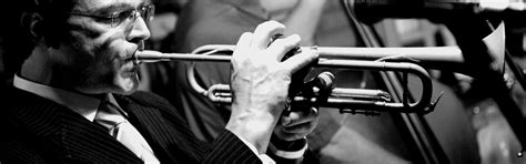 Image result for Pearly Shells Gigs