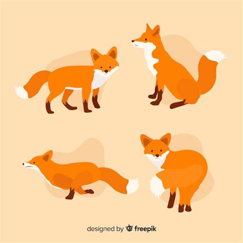 Collection of cute little foxes | Premium Vector