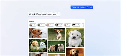 Image result for Using Bing Preview