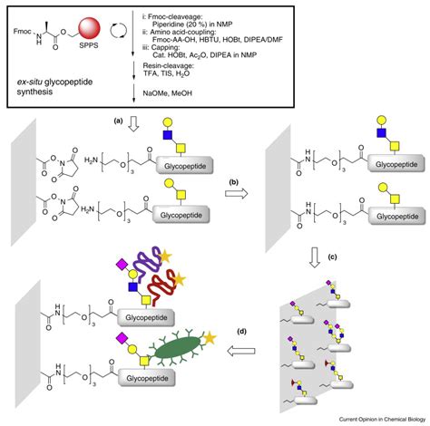 Peptide Microarray Synthesis 的图像结果