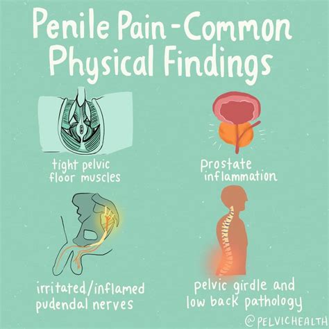 Why Do Men Develop Penile Pain? Plus video resources!