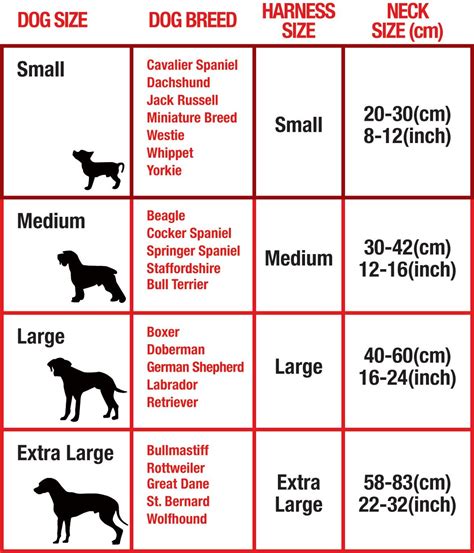 Dog Harness Size Chart By Breed - Educational Chart Resources