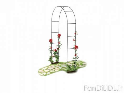 LIDL giardino   attrezzature giardinaggio, Offerte e  