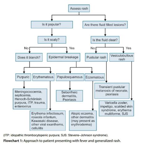 Image result for Rash Algorithm