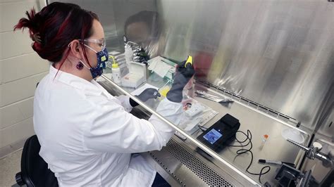 Ground-Truth Tech for Wildlife: How Conservation X Labs is Transforming Biodiversity Monitoring ...