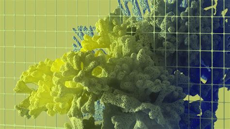 Image result for Remix JavaScript String