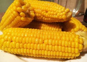VibeX ® VXI-736 Sweet Sugar Corn Yellow Seed Price in India - Buy VibeX ...