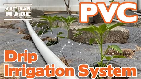 DIY PVC Pipe Watering System 的图像结果