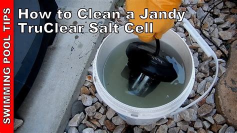 How to Clean a Salt Cell 的图像结果