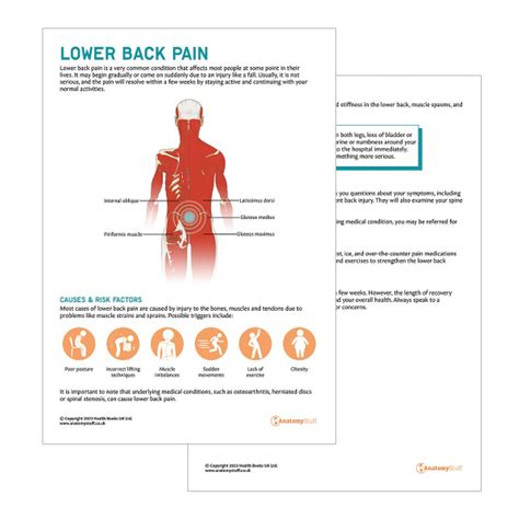 Lower Back Pain Collections | Low Back Pain Charts & Models Set – AnatomyStuff - back pain chart