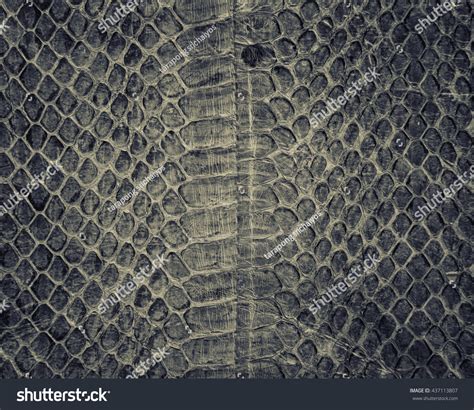 Leather Work Snake Skin 的图像结果