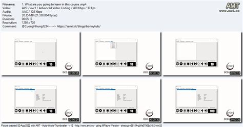 Python Video Player Tkinter 的图像结果