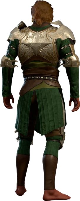 Half Plate Armour +2 - bg3.wiki