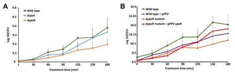 Novel Insight into the Effects of CpxR on Salmonella enteritidis Cells ...