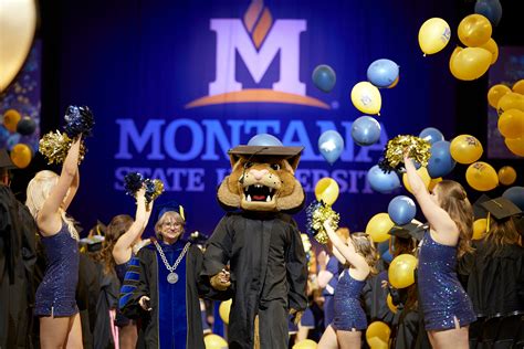 Montana State Mascot