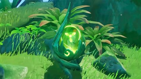 MUST-KNOW Dendrograna, Withering Zones & More In Genshin Sumeru