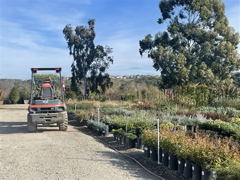 Devil Mountain Wholesale Nursery - Vista | CA Native Plant Nursery ...