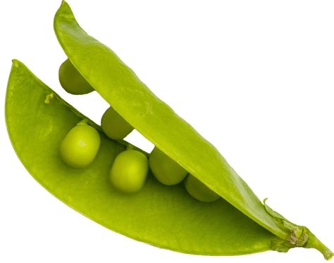 Buy Daily Dewy Serum Foundation - Peachy Ivory Shade For Face At Best ...