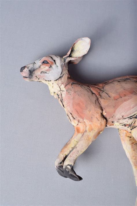 Kangaroo (Macropus Genus) - James Ort