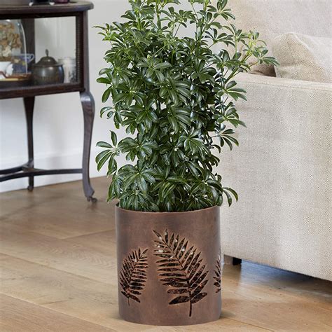 DECOWORLD || Laser Cut Planter - Leaf Design (Small )
