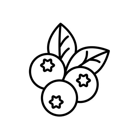 Outline, simple vector blueberry icon isolated on white background ...