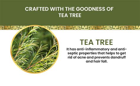 Khadi Organique Tea Tree Essential Oil for Hair & Skin | Pure ...