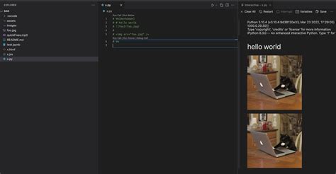 Image result for Vscode Python Interactive Window