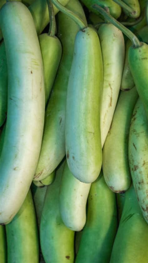 10 lauki recipes from different parts of India