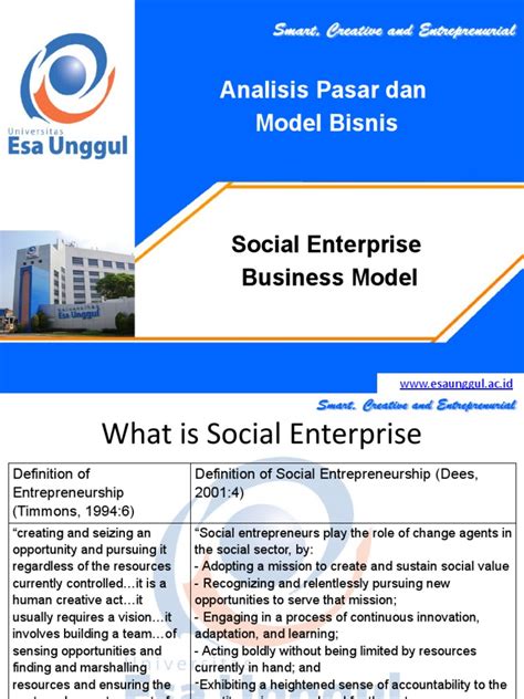 Social Entrepreneurship Model 的图像结果