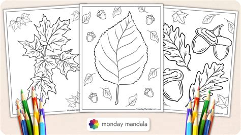 Coloring Pages Autumn Leaves [2025]