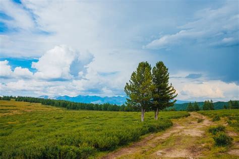 Spectacular View 的图像结果