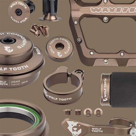 Install a Wolf Tooth Gnar Chain Guide 的图像结果