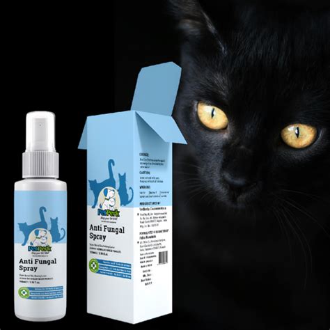 Cat Fungal Infection – Pet Perk