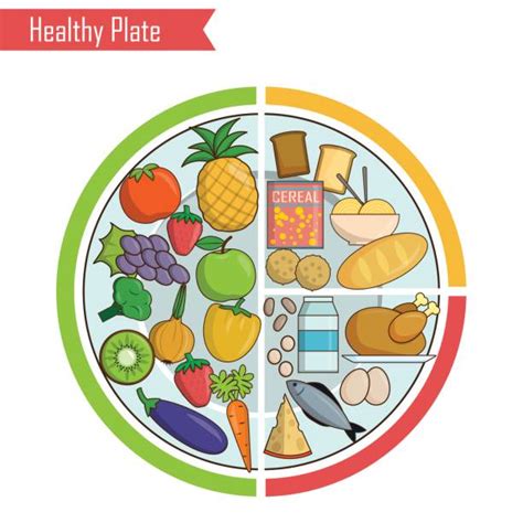 Balanced Diet Table 的图像结果