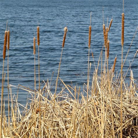 Fish Lake Regional Park (Maple Grove): All You Need to Know