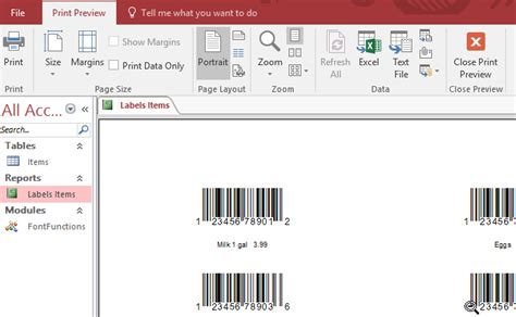 Image result for MS Access Screen Elements with Labels
