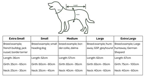 Dog Coat Measurement Chart at Brooke Fitzroy blog
