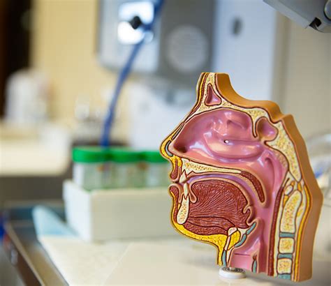 Wecare Health Group | #1 Health Care Clinic in Calicut