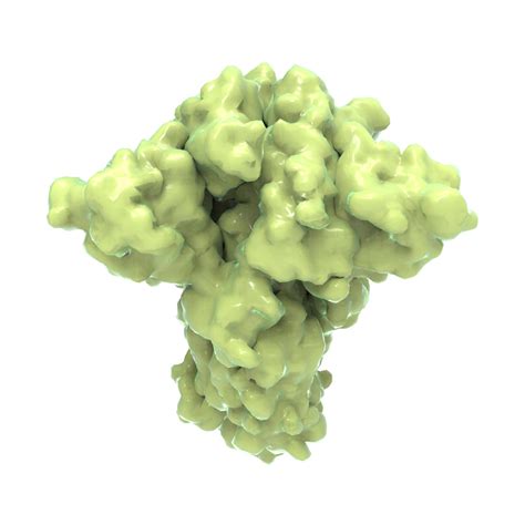 从α到Epsilon:SARS-CoV-2刺突蛋白Spike抗体哪个更有效？全球370多种S抗体平行研究 - 生物通