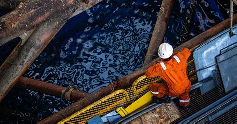 Building Continuity and Confidence Project Assurance Across the FPSO ...
