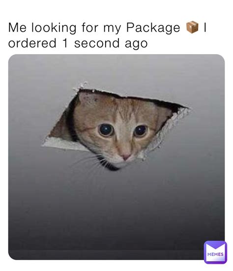 View 24 Pfp Standing Cat Meme Template - deflexbizesz